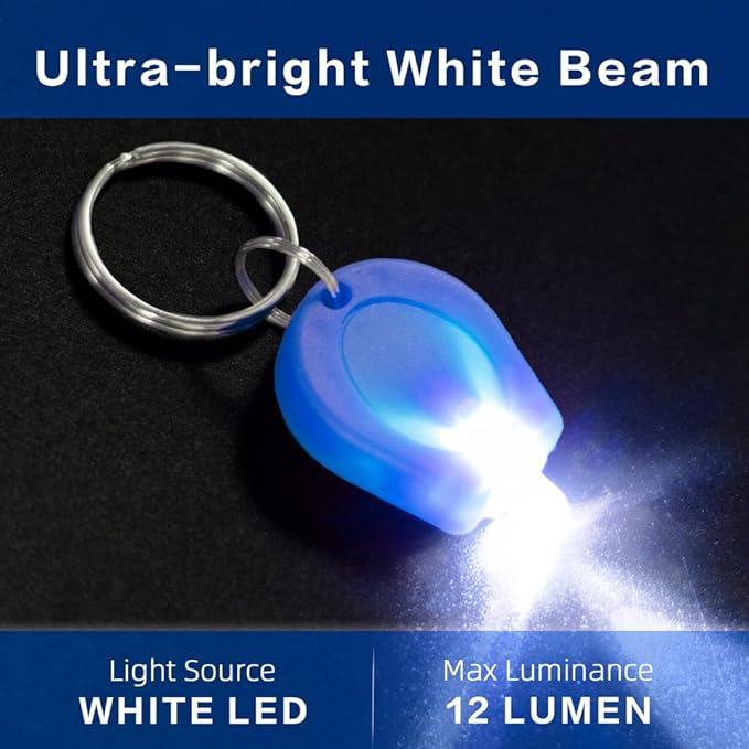 10 Pack Ultra Bright Mini LED Keychain Flashlight, Small Key Ring Flashlight, Portable LED Keychain Light for Outdoor Activities Emergency Light - Blue Shell