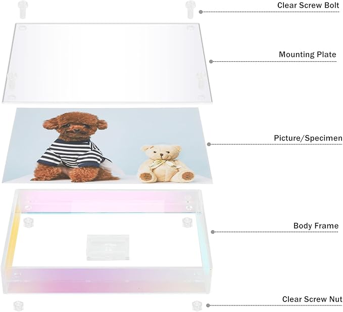 Gelite Acrylic 8X10 Picture Frame to Display 8x10 6x8 5x7 Pictures Mat-free Neon Floating Photo Frame for Wall and Tabletop, Iridescent Rainbow