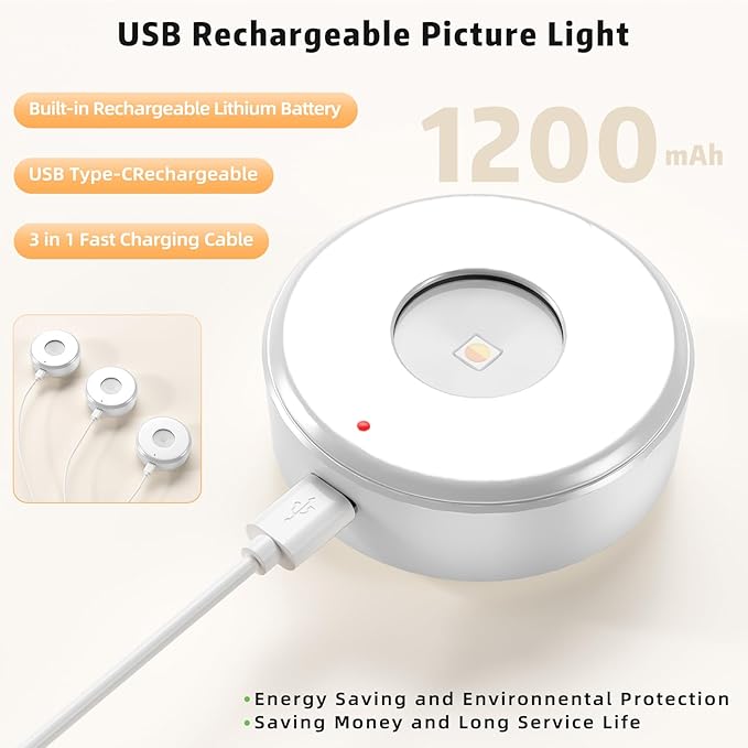 3PCS Picture Lights,3 Colors Paintings Light Rechargeable Battery Wall Light Dimmable and Timer Metal Art Light for Paintings,Display, Wall, Artwork, Gallery (Silver)