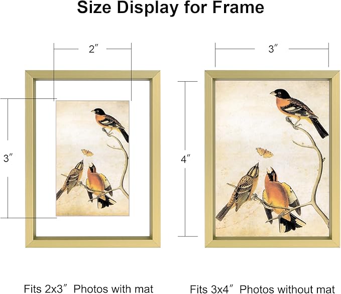 3x4 Picture Frame, Brass Metal Photo Frames with HD Glass, Fits 2x3 with Mat or 3 x 4 without Mat, Display for Wall and Table, 1 Pack