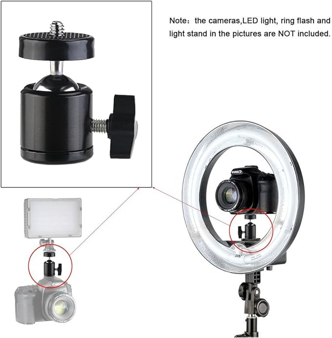 SLOW DOLPHIN Hot Shoe Mount Adapter 360 Degree Swivel Mini Ball Head 1/4 Tripod Screw Head for Cameras, Camcorders, Smart Phone, Gopro, LED Video Light, Microphone(2 Packs)