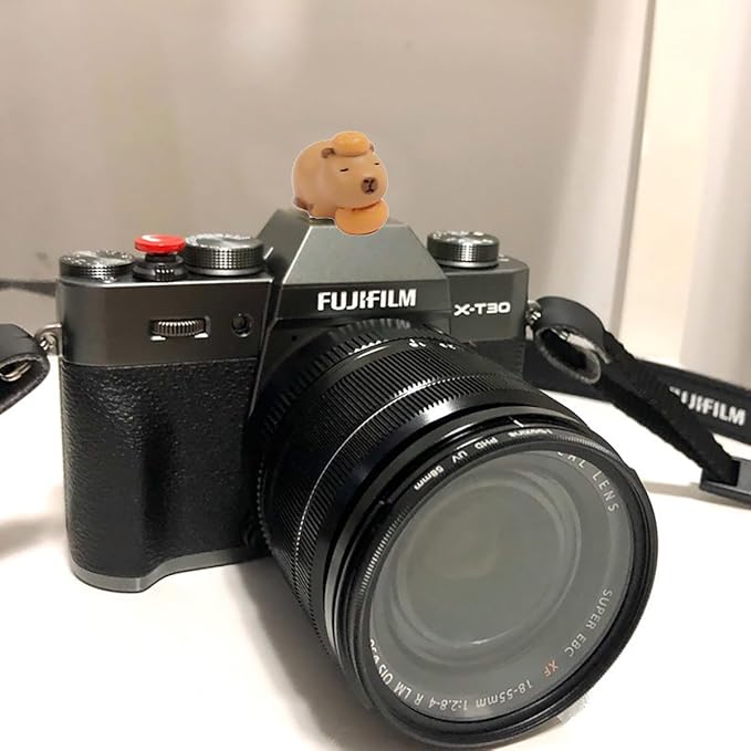 Camera Hot Shoe Cover, Cute Hot Shoe Cap, Hot Shoe Protector Compatible with Sony Fujifilm Fuji Canon Nikon Pentax Leical Panasonic (2pcs Capybara)