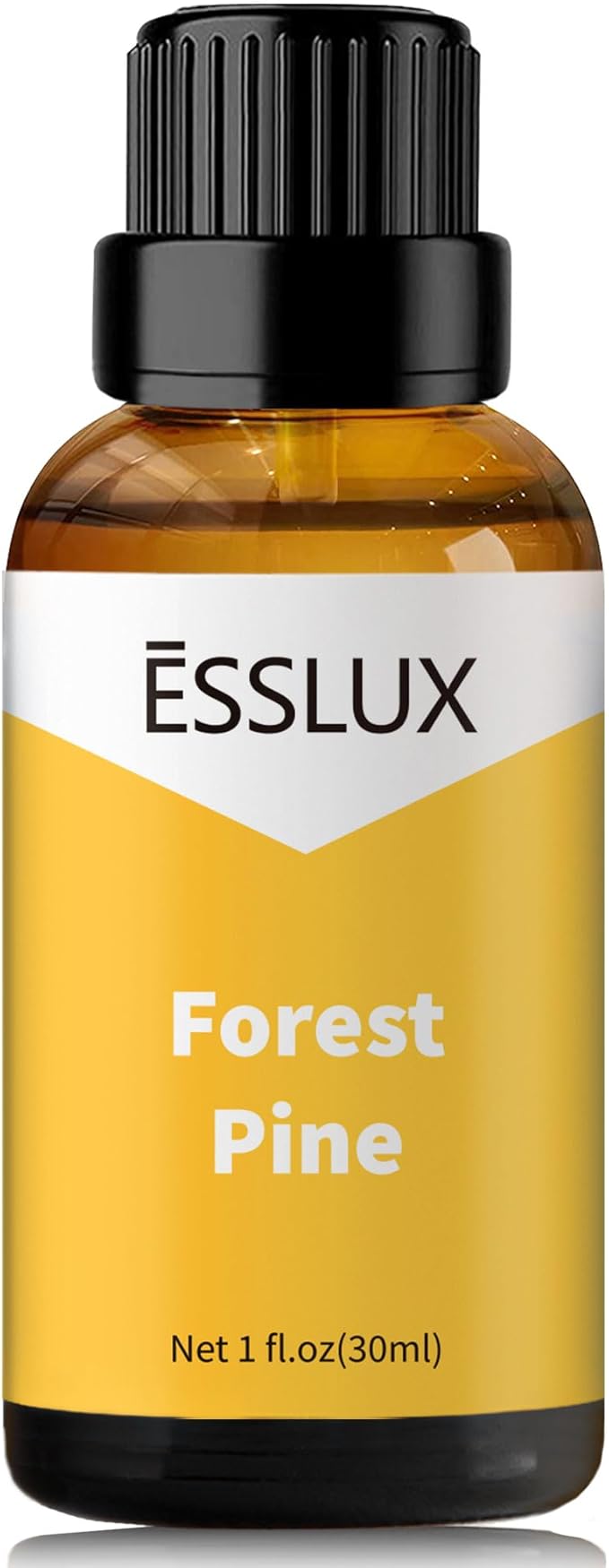 Forest Pine Fragrance Oil - ESSLUX Pine Tree Scents, Fresh Wood Essential Aromatherapy Oils for Home for Diffuser, Candle Soap Making Scents, Massage, Perfume, Home Fragrance, 30 ml