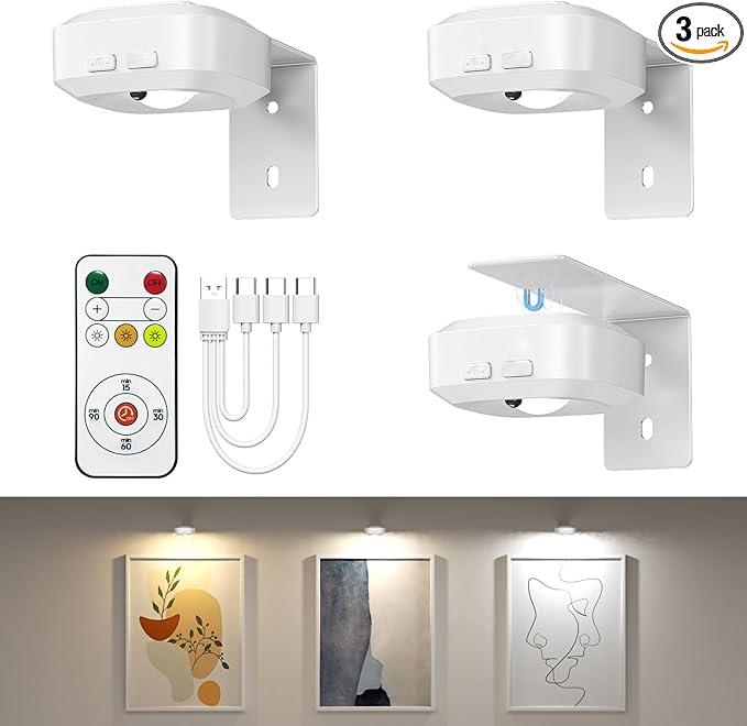 Lightbiz Picture Lights for Wall 3 Pcs, Rechargeable Battery Operated Magnetic Wall Lights with 3 Color Temps, Remote Dimmable Timer Painting Light for Art Display, Frame, Poster