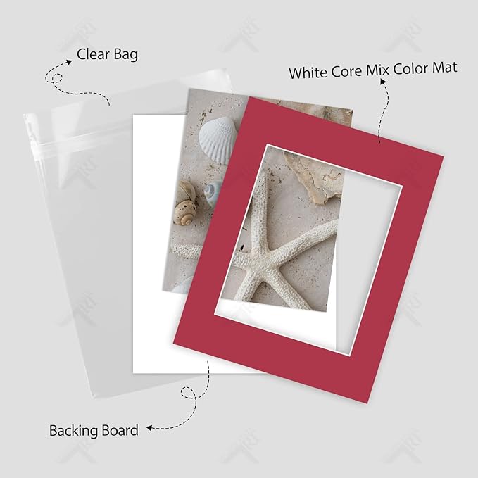Golden State Art, Acid Free, Pack of 5, 11x14 Mixed Color Picture Mats Mattes with White Core Bevel Cut for 8x10 Photo + Backing + Bags