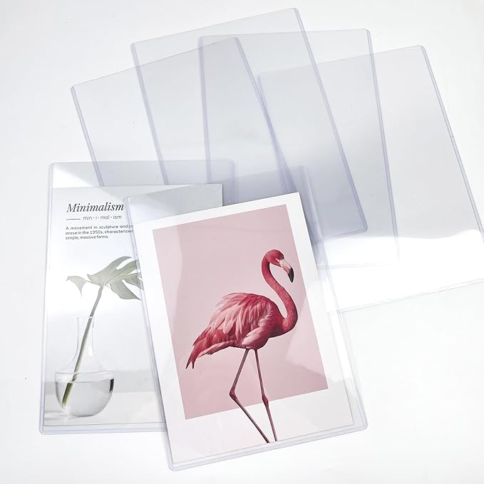 Rainmae 12 Pack 8" x 10" Rigid Print Protectors, Clear Hard Plastic Page Sheet Protectors, Paper Sleeves Photo Plastic Sleeves Document Holder Birth Certificate Protector