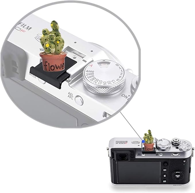 Camera Hot Shoe Cover, Plants Cactus Hot Shoe Cap, Hot Shoe Protector Compatible with Sony Fujifilm Fuji Canon Nikon Pentax Leical Panasonic (2pcs Friend Flower)