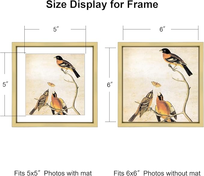 6x6 Picture Frame, Brass Metal Photo Frames with HD Glass, Fits 5x5 with Mat or 6 x 6 without Mat, Display for Wall and Table, 1 Pack