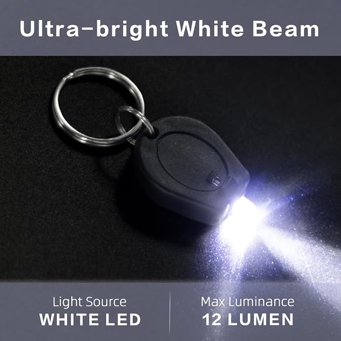 10 Pack Ultra Bright Mini LED Keychain Flashlight, Small Key Ring Flashlight, Portable LED Keychain Light for Outdoor Activities Emergency Light - Black Shell