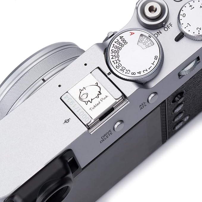 Camera Metal Hot Shoe Cover Protector Cap Cute Compatible for Fujifilm X100VI X100V X-M5 X-E5 X-T4 X-T3 for Leica Q Q3 (Piglet)