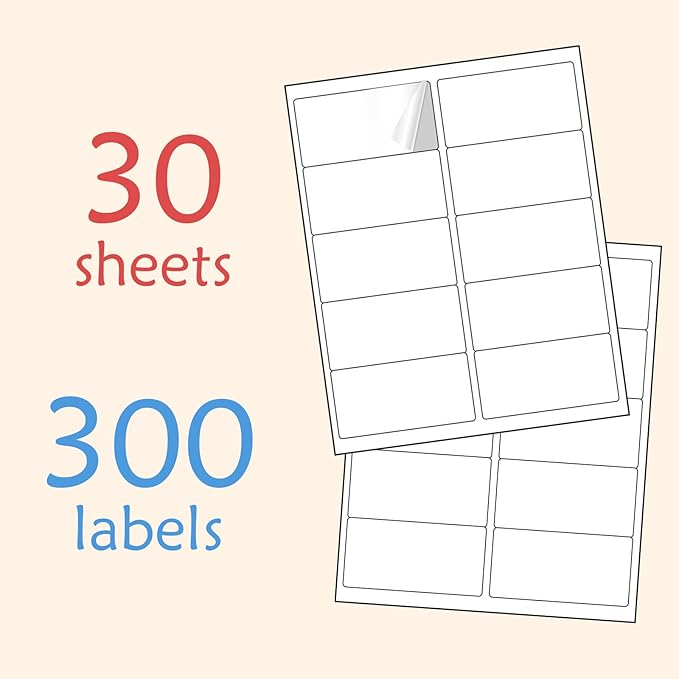 2” x 4” (300 Labels) Shipping Mailing Labels, Printable White Sticker Label for Laser Inkjet Printer, Permanent Adhesive Mailing Address Labels for Packages Envelopes (30 Sheets)