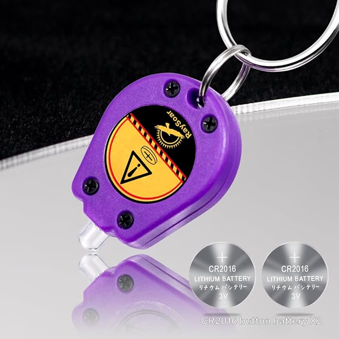 10 Pack Ultra Bright Mini LED Keychain Flashlight, Small Key Ring Flashlight, Portable LED Keychain Light for Outdoor Activities Emergency Light - Pueple Shell