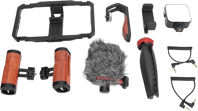 Smartphone Video Rig Dual Handle Filmmaking Vlogging Case Phone Stabilizer Grip with Microphone and Fill Light