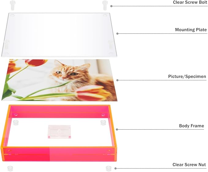 Gelite Acrylic A3 Frame to Display A3 Pictures or Smaller Mat-free Neon Floating Photo Frame for Wall and Tabletop, Neon Pink