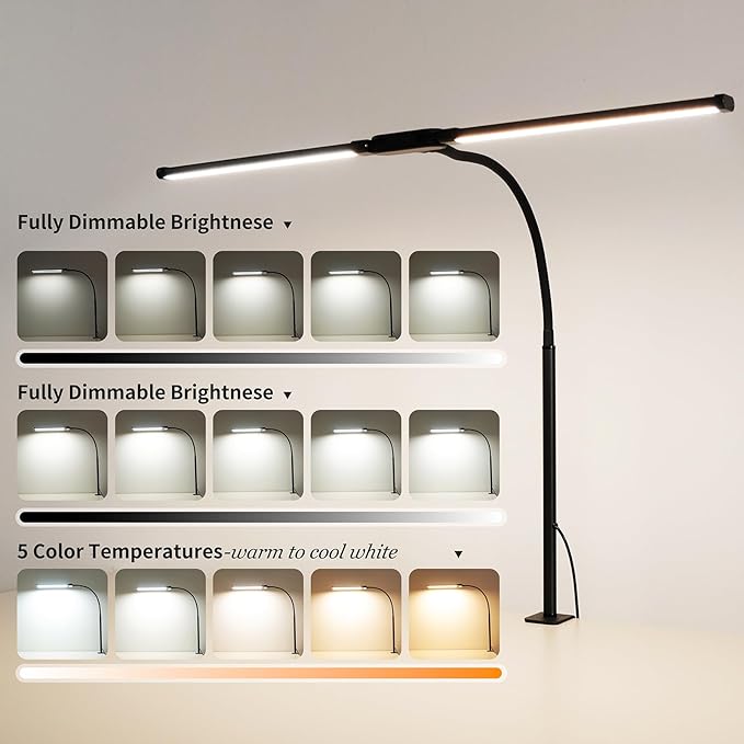 Dual-Head LED Desk Lamp for Office Home, Adjustable Flexible Eye-Caring Desk Light, 5 Modes 10 Brightness Adjustment, USB Adapter Desk Lamp with Clamp-ST-B