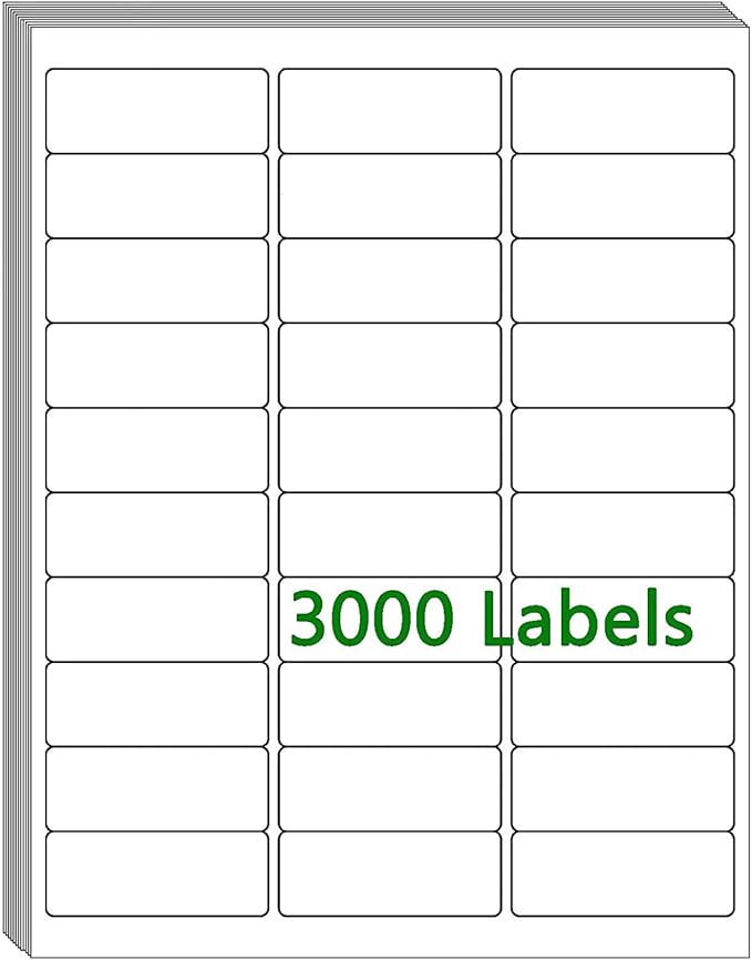 100 Sheets 30 UP 1" x2-5/8 Shipping Labels 3000 Pcs FBA Label Stickers for Laser/Inkjet Printers, White Blank Sticker Name Tags, 30 Per Page