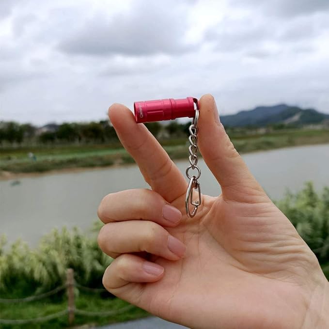 e1 The World's Smallest Flashlight Micro Tiny Mini Keychain Light Long-Lasting Safety Light for Everyday Carry Emergencies Outdoor Dog Walking Hiking Camping Nice Gift for Parents and Kids