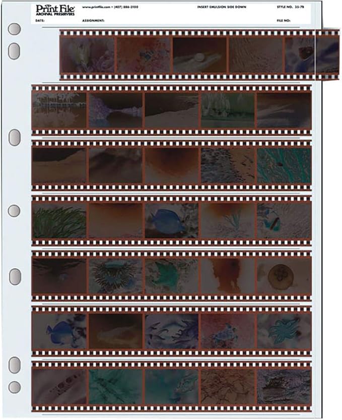 Archival 35mm Size Negative Pages Holds Seven Strips of Five Frames - 100 Pack