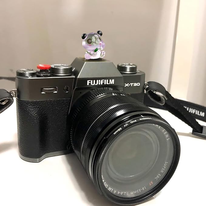 Camera Hot Shoe Cover, Cute Hot Shoe Cap, Hot Shoe Protector Compatible with Sony Fujifilm Fuji Canon Nikon Pentax Leical Panasonic (2pcs Panda)