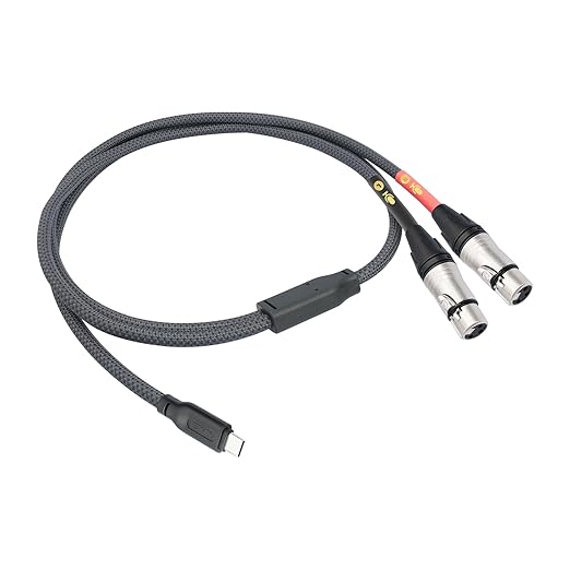 HUALUE 6.6FT Duplex XLR-Type USB-C Stereo Recording Cable, iPhone Mic Cable with USB-C to XLR Female for iPhone 15 & iPad