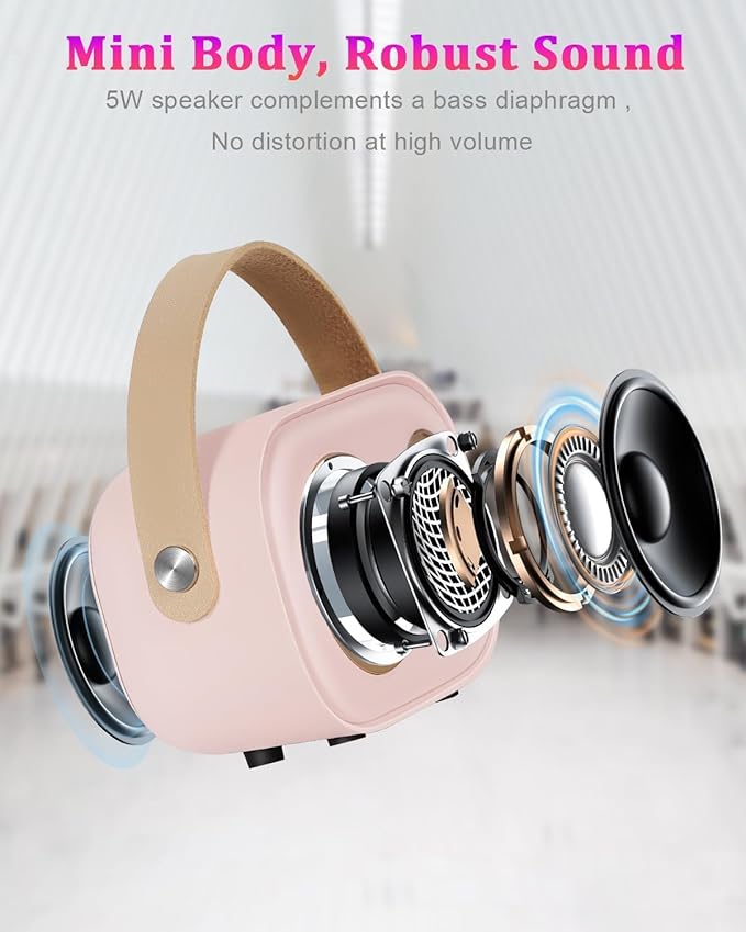 PRUNUS C20 Mini Karaoke Machine,Valentines Day Gifts for Her Him Kids Mens,Portable Bluetooth Speaker with 2 Wireless Microphone for Boys Girls 3-12+ Years Old Birthday Party Pink