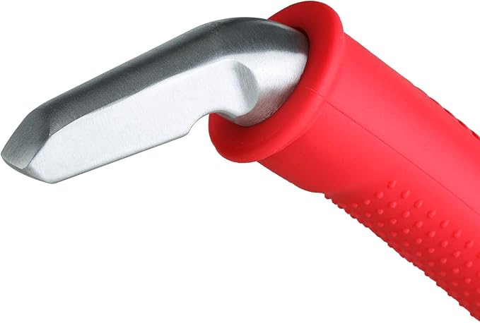 Auto Cane Portable Vehicle Support Handle, Car Door Assist Bar, Supports up to 300 Pounds, Car Door Handle for Elderly (Red)