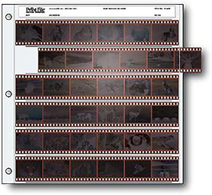 Print File 35mm Size Negative Pages Holds Six Strips of Six Frames, Pack of 25