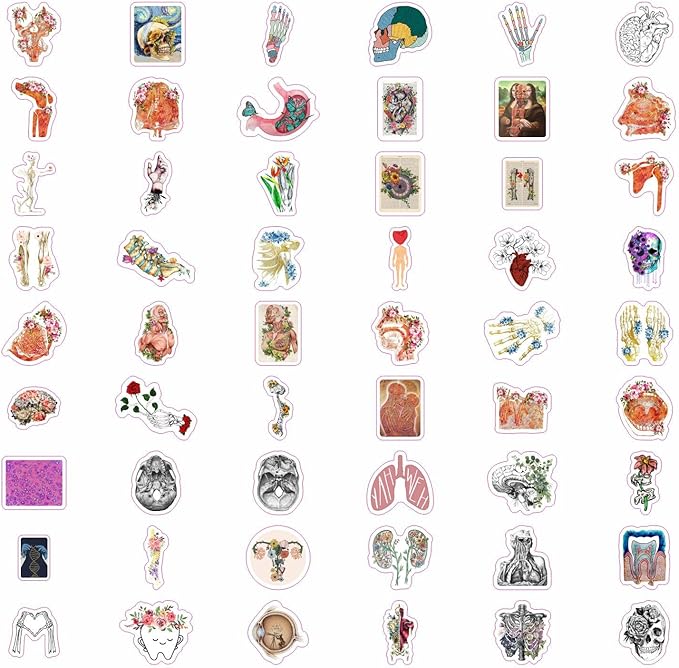 BulbaCraft 100Pcs Anatomy Stickers, Human Anatomy Decals, Body Part Stickers, Gifts for Women & Men