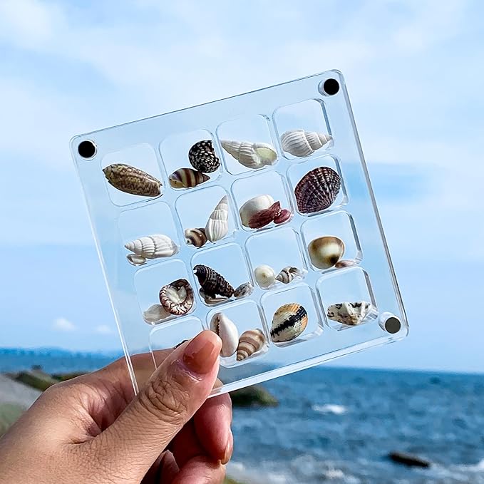 Multi-Style Clear Acrylic Magnetic Seashell Display Collecting Box, Acrylic Shadow Box for Tiny Treasure Hunting Seashell Holder Display Grid Cabinet Case Box,Display Seashell Jewelry Crystal