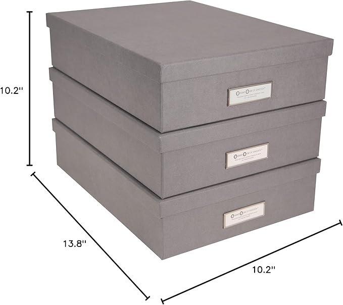 Bigso Box of Sweden Oskar Fiberboard Label Frame Document Letter Box | File Organizer for Important Paperwork with a Lid & Label Window | 3.3"x10.2"x13.8" | 3 Pack | Grey