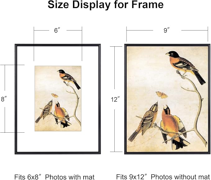 BKABOT 9x12 Picture Frame, Black Metal Photo Frames with HD Glass, Fits 6x8 with Mat or 9 x 12 without Mat, Display for Wall and Table, 1 Pack
