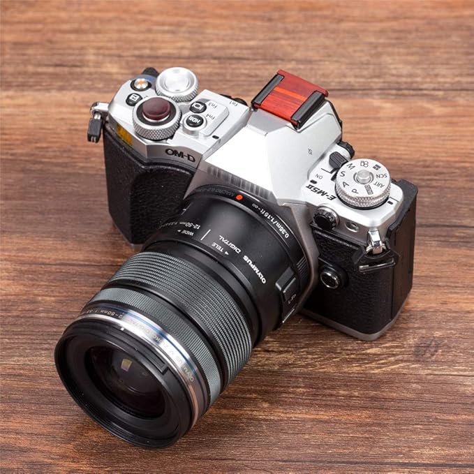 Wood Camera Hot Shoe Cover Compatible with X-T30 X-T100 X-H1 X-T20 X100F X-T10 X-T3 X-T2 X-PRO2 X-PRO1 X-E3 X-A2 X-A5 X100T X100S X30 X70 Cameras Hot Shoe Protector Cap 1 PCS Red