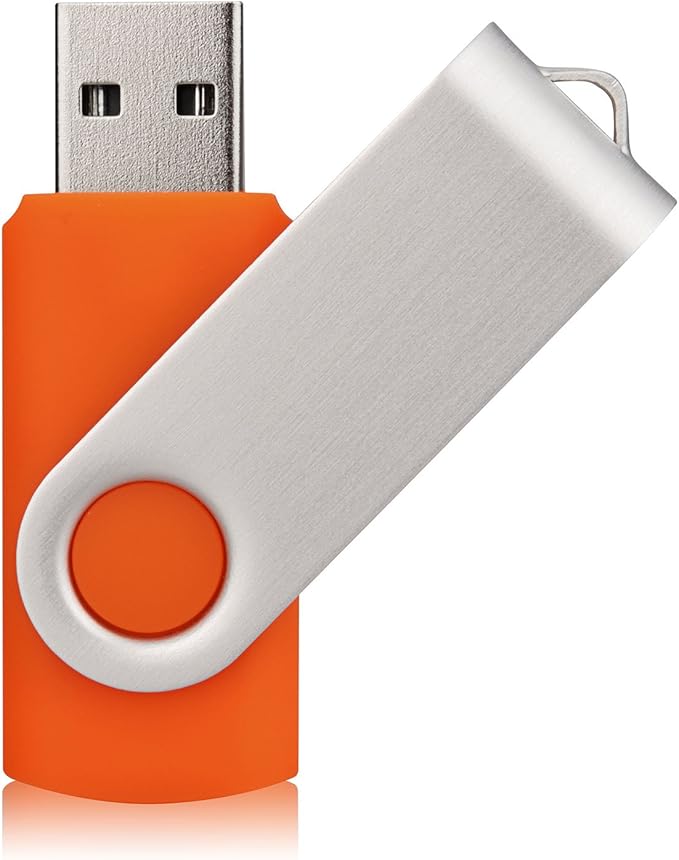10 Pack 16GB USB Flah Drive USB 2.0 Memory Stick-Orange
