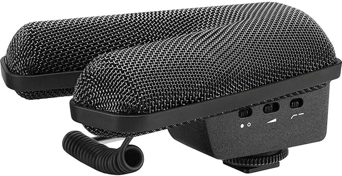 Sennheiser Professional MKE 440 Compact Stereo Shotgun Microphone with 3.5mm Connector for Cameras, 506258,Black