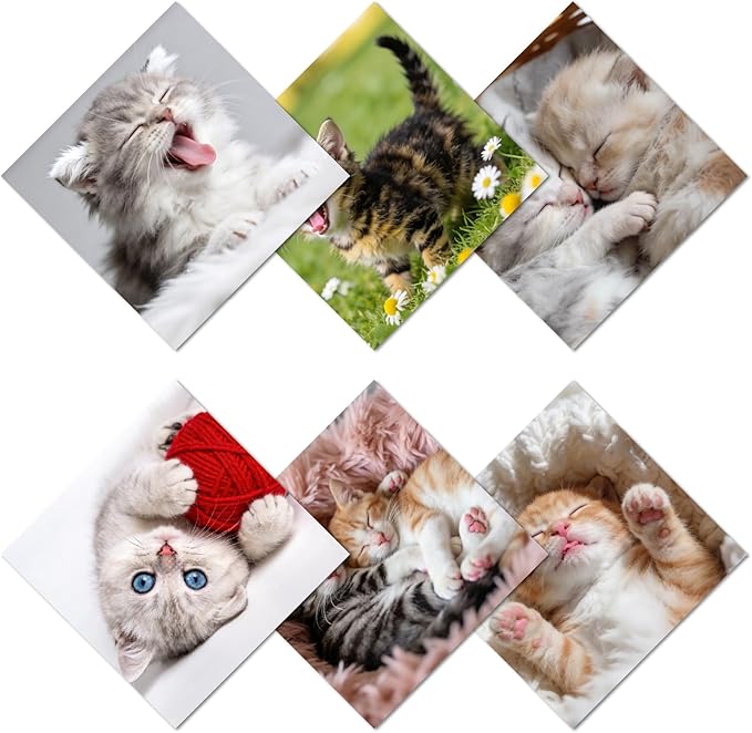 CREATCABIN 6 Pcs Cute Cats Microfiber Glasses Cleaning Cloth Reusable Thicken Sunglasses Cloth Soft Multicolor Eyeglasses Cleaner Wipes Washable for Camera Cell Phone Screens Glasses Gift 6x6in