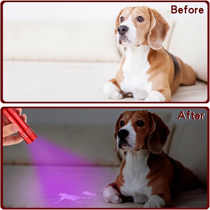 Riakrum 12 Pcs UV Blacklight Flashlights LED Handheld Mini Light Flashlight Small Portable Detector 395nm 9 LED Light for Pet, Carpet Dry Stains Detection, Spot Scorpions, Resin Curing (Red)