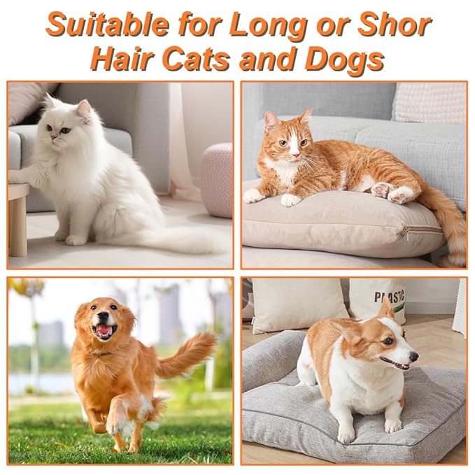 New Cat Grooming Brush With Steam - Rechargeable, Anti-Static, Massage, Cleaning, Shedding & Combing All In One