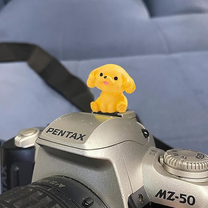 Camera Hot Shoe Cover, Cute Cap and Protector Compatible With Sony Fujifilm Fuji Canon Nikon Pentax Leical Panasonic (2pcs Golden Retriever + Tactic)
