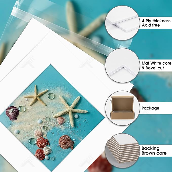 Golden State Art, Acid Free, Pack of 5, 12x12 White Picture Mats Mattes with White Core Bevel Cut for 8x8 Photo + Backing + Bags