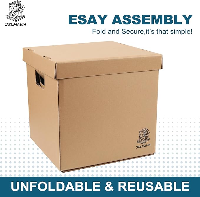 Jelmaica 12" Vinyl Record Storage and Moving Box - Sturdy Cardboard with Removable Lid - Holds up to 60 Records or Laser Discs - Set of 2 Boxes (2) (2)