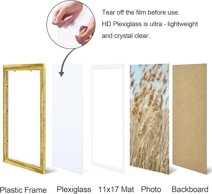 Vittanly 12x18 Picture Frames Set of 2, Ornate Vintage Photo Frame for Wall Mount, Display 11x17 Pictures with Mat or 12x18 without Mat, Rustic Gold