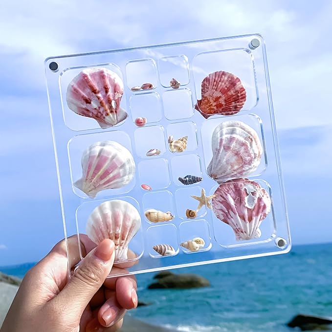 Multi-Style Clear Acrylic Magnetic Seashell Display Case, Shadow Box for Tiny Treasure Hunting Seashell Holder Display Grid Cabinet, Jewelry Crystal