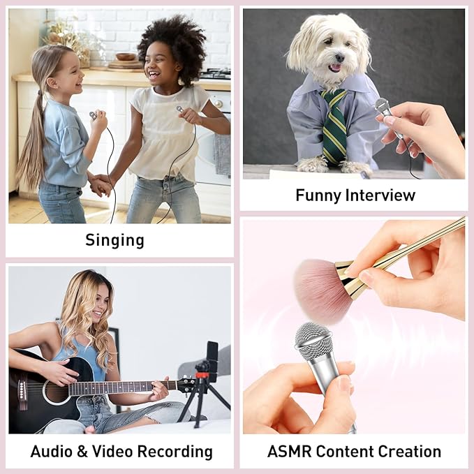 2PCS Mini Microphone for iPhone iPad Small ASMR Tiny Microphone for Voice Video Recording Singing, Vlogging, YouTube Two Mics Rose Golden and Blue