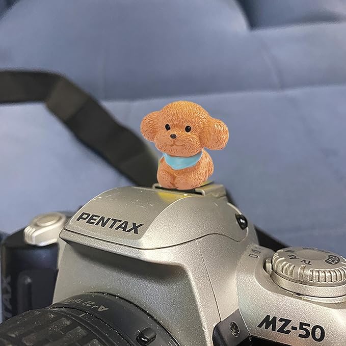 Camera Hot Shoe Cover, Cute Cap and Protector Compatible With Sony Fujifilm Fuji Canon Nikon Pentax Leical Panasonic (2pcs Golden Retriever + Tactic)