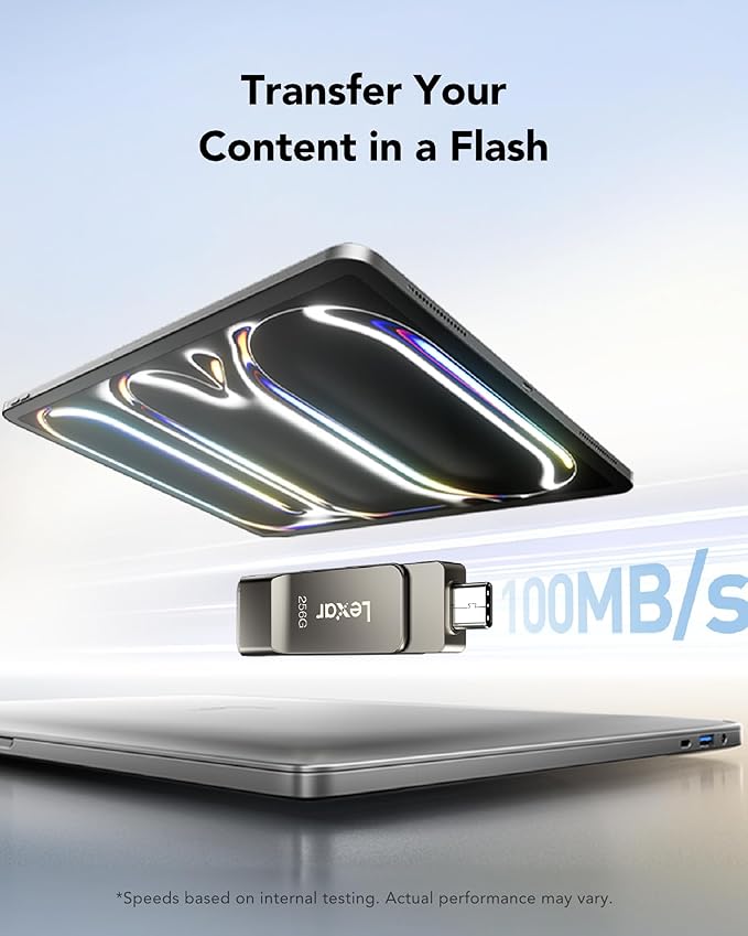 Lexar D40E 256GB Dual USB 3.2 Gen 1 Type-C Jump Drive, USB-C Flash Metal Housing Swivel Design Thumb Drive (Titanium Grey)