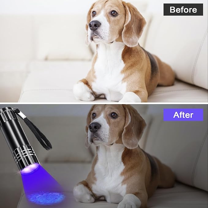 Riakrum 2 Pcs UV Blacklight Flashlights LED Handheld Mini Light Flashlight Small Portable Detector 395nm 9 LED Light for Pet, Carpet Dry Stains Detection, Spot Scorpions, Resin Curing (Black)