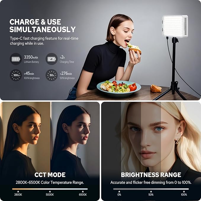 Godox Litemons C30Bi Bi-Color LED Video Panel Light, Portable Camera Photo Light CRI94+ 2800K-6500K Dimmable Panel Lamp 3400mAh Rechargeable Ultra Bright for Video Lighting, LED Fill Lamp
