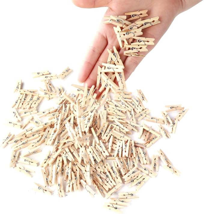 DECORA Sturdy 1 Inch Mini Wooden Craft Clothespins 100pcs