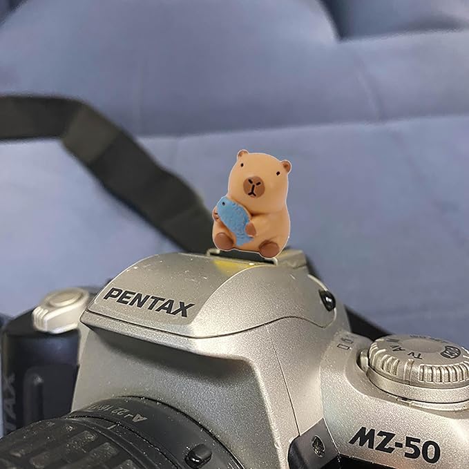 Camera Hot Shoe Cover, Cute Hot Shoe Cap, Hot Shoe Protector Compatible with Sony Fujifilm Fuji Canon Nikon Pentax Leical Panasonic (2pcs Capybara)