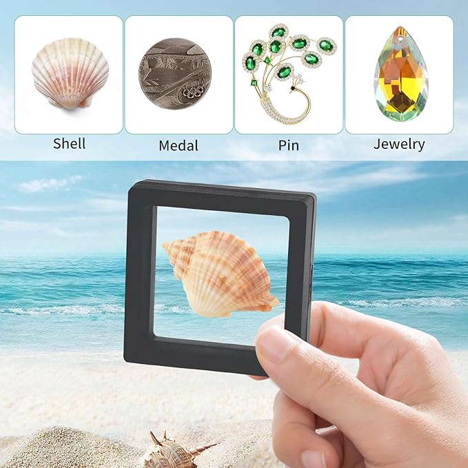 20 Pcs Black Seashell Holder, 3D Floating Display Box 2.7 x 2.7 Inches, Transparent Display Case for Sea Shell Collectibles, Jewelry, Rings, Crystal, Badges, Coastal Decor